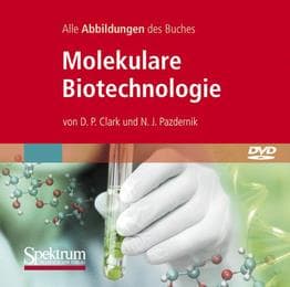 Cover von Molekulare Biotechnologie