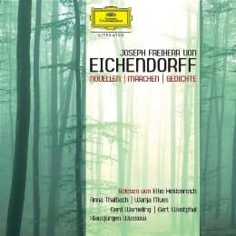 Cover von Novellen, Märchen, Gedichte