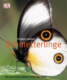 Cover von Schmetterlinge