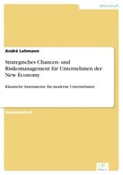 Cover von Strategisches Chancen- und Risikomanagement für Unternehmen der New Economy