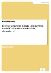 Cover von Ist es für kleine und mittlere Unternehmen sinnvoll, sich finanzwirtschaftlich abzusichern?