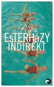 Cover von Indirekt
