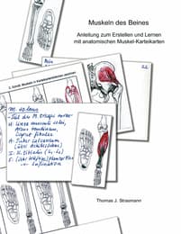 Cover von Muskeln des Beines