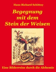 Cover von Begegnung mit dem Stein der Weisen
