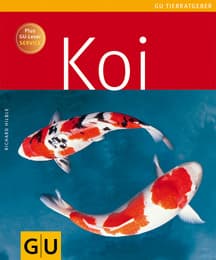 Cover von Koi