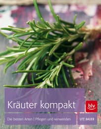 Cover von Kräuter kompakt