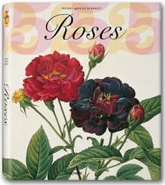 Cover von Die Rosen