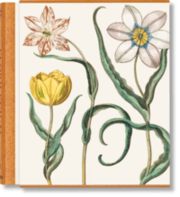 Cover von Basilius Besler. The Garden at Eichstätt
