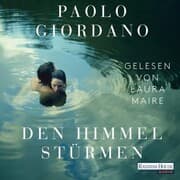 Cover von Den Himmel stürmen