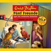 Cover von Fünf Freunde jagen den rätselhaften Einbrecher