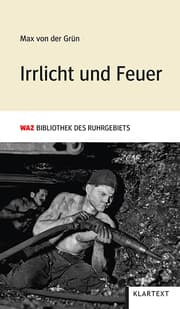 Cover von Irrlicht und Feuer