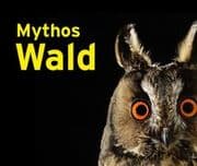 Cover von Mythos Wald
