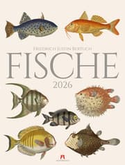Cover von Fische Kalender 2026