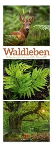 Cover von Waldleben Triplet-Kalender 2027