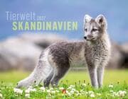 Cover von Tierwelt Skandinavien 2027