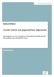 Cover von Soziale Arbeit mit jugendlichen Zigeunern