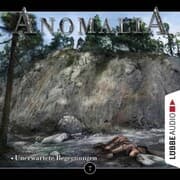 Cover von Unerwartete Begegnungen
