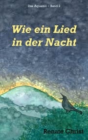 Cover von Wie ein Lied in der Nacht