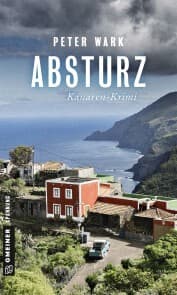 Cover von Absturz