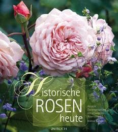 Cover von Historische Rosen heute