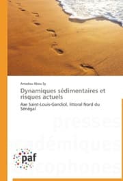 Cover von Dynamiques sédimentaires et risques actuels