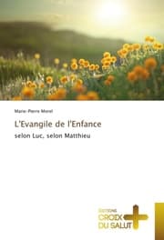 Cover von L'Evangile de l'Enfance