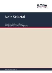 Cover von Mein Selketal