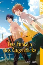 Cover von Das Funkeln des Augenblicks