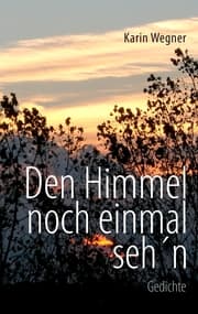 Cover von Den Himmel noch einmal seh'n