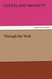 Cover von Through the Wall