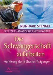 Cover von Die Schwangerschaftsmonate aufarbeiten