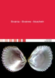 Cover von Bivalvia - Bivalves - Muscheln