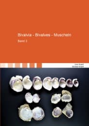 Cover von Bivalvia - Bivalves - Muscheln