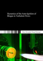 Cover von Dynamics of the Auto-Ignition of Biogas in Turbulent Flows