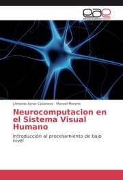 Cover von Neurocomputacion en el Sistema Visual Humano