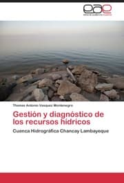 Cover von Gestion y diagnostico de los recursos hidricos
