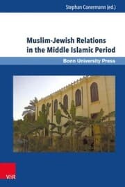 Cover von Muslim-Jewish Relations in the Middle Islamic Period
