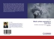 Cover von Black carbon aerosols in East Asia