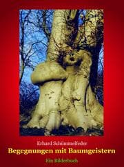 Cover von Begegnungen mit Baumgeistern