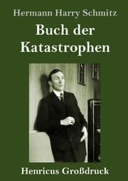 Cover von Buch der Katastrophen (Großdruck)