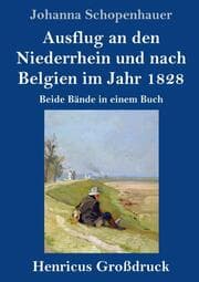 Cover von Ausflug an den Niederrhein und nach Belgien im Jahr 1828 (Großdruck)