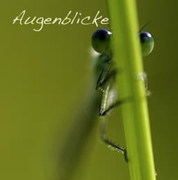 Cover von Augenblicke