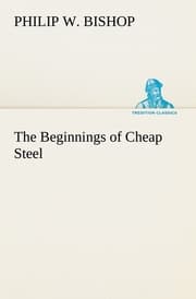 Cover von The Beginnings of Cheap Steel