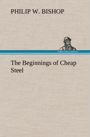 Cover von The Beginnings of Cheap Steel