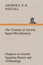 Cover von The Treasury of Ancient Egypt Miscellaneous Chapters on Ancient Egyptian History and Archaeology