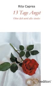 Cover von 13 Tage Angst