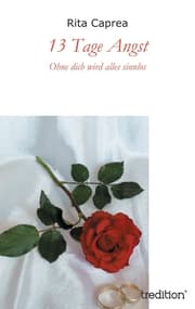 Cover von 13 Tage Angst