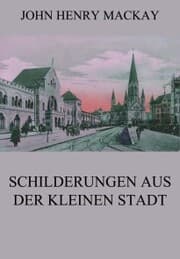 Cover von Schilderungen aus der kleinen Stadt