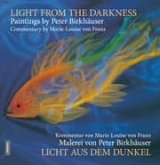 Cover von Licht aus dem Dunkel / Light from the Darkness