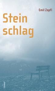 Cover von Steinschlag